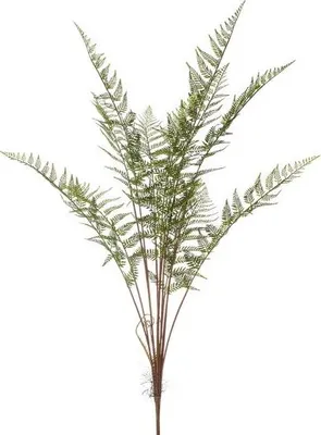 Produktbild von Warentuin Producten