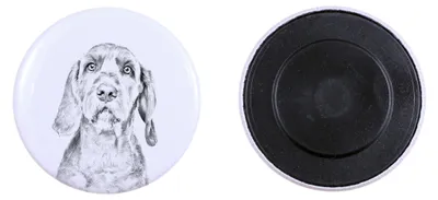 Immagine prodotto di Vizsla, cane da ferma ungherese a pelo corto, Magyar Vizsla a pelo corto Magnete con impronta di zampa di cane, eccezionalmente leggero, magnete potente, prodotto artigianale del marchio Art-Dog