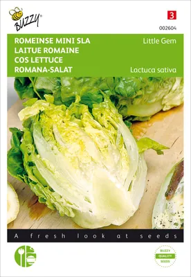 Produktbild von Salat Little Gem | Salatsamen von Buzzy Seeds