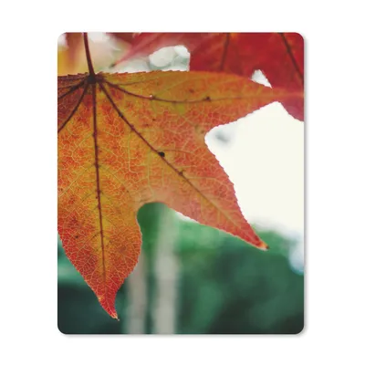 Produktbild von MuchoWow® Mauspad Mousepad Herbst - Landleben - Blätter - Jahreszeiten - Landleben 30x40 cm - Mousepads - Maus Mat - Pad - Mausunterlage - Mausmatten