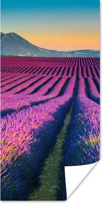 Produktbild von MuchoWow® Poster Lavendel - Berg - Blumen 60x120 cm - Wandschmuck