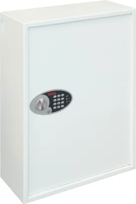 Immagine prodotto di Phoenix Safe Schlüsseltresor KS0036E MKII CYGNUS (Speditionsversand)