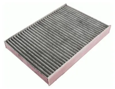 Immagine prodotto di EBG Filtro abitacolo antipolline Volvo 30767024