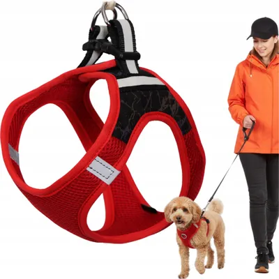 Obrázek produktu pro WOBELL – PSÍ POSTROJ PRO MALÉ PSY, REFLEXNÍ, POHODLNÝ, VELIKOST M – lehký, voděodolný, suchý zip + přezka, červený/černý