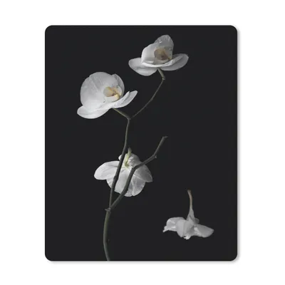 Produktbild von MuchoWow® Mauspad Mousepad Orchidee - Blumen - Schwarz - Weiß - Stilleben 19x23 cm - Mousepads - Maus Mat - Pad - Mausunterlage - Mauspads - Spielen