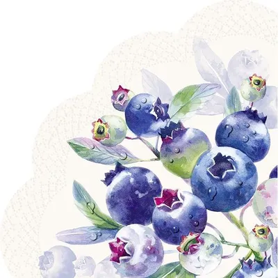 Immagine prodotto di Tovaglioli - Rotondo - BLUEBERRY FRUITS cream