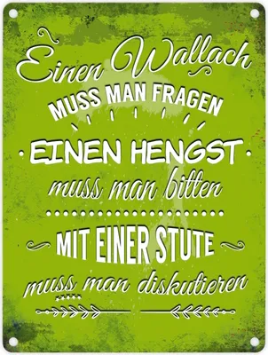 Produktbild von Metallschild mit Reiter Motiv und Spruch: Einen Wallach muss man fragen, ...