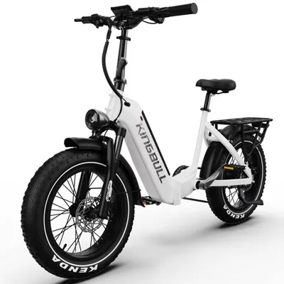 Produktbild von E-Bike Cityrad VERVE E-Fahrrad Damen u. Herren 960WH Pedelec, 48V 20AH 130 km Kettenschaltung, Heckmotor, 960 Wh, E-Bikes, 130km, 20×4.0" Fatbike