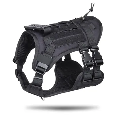 A black dog harness is shown against a white background.