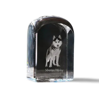 Image de Husky sibérien - cube en cristal avec photo, photo du chien dans le cristal, bouton cubique sur papier de la marque Art-Dog