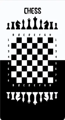 Polyester-Teppich 120x160 cm, Schachbrettmuster, Schwarz, maschinenwaschbar