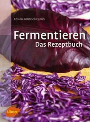 Obrázek produktu pro Fermentieren. Das Rezeptbuch