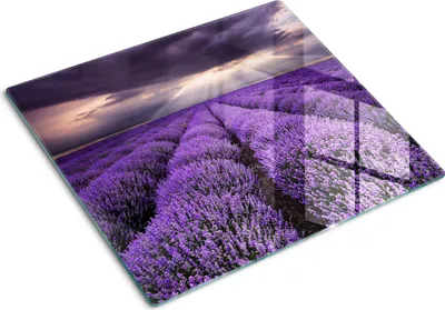 Produktbild von Tulup Glas Herdabdeckplatte Glaskeramikkochfeld-Abdeckung Spritzschutz Glasabdeckplatte Kochplattenabdeckung und Schneidebrett - Einteilig - 60x52 cm Lavendelfeld