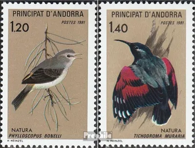 Produktbild von Briefmarken Andorra - Französische Post 1981 Mi 315-316 (kompl.Ausg.) postfrisch Vögel