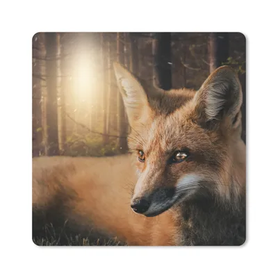 Produktbild von MuchoWow® Mauspad Mousepad Tiere - Fuchs - Wald 20x20 cm - Mousepads - Maus Mat - Pad - Mausunterlage - Desk Mat - Bureauartikeln