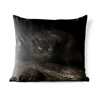 Obrázek produktu pro MuchoWow® Vnější polštář - Panther - Kufr - černý -60x60 cm- Odolnost proti povětrnostním vlivům - polštář do obývacího pokoje