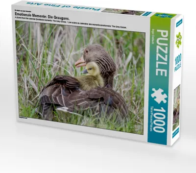 Produktbild von Calvendo Ein Motiv aus dem Kalender Emotionale Momente: Die Graugans. 1000 Teile Puzzle quer 640x480mm, Gerlach Ingo; 7317926