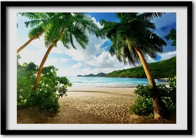 Produktbild von Bild - Bilderrahmen - 100 cm x 70 cm - MDF - Rahmen - Foto - Wandkunst Palmen am Strand