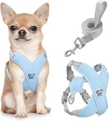 Productafbeelding van Ibenzoa® hondentuig van ademend nylon met geïntegreerde lijn, verstelbaar, met roestvrijstalen sluitingen – geschikt voor kleine tot middelgrote honden
