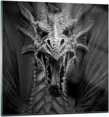 Produktbild von Bilder auf glas - Drache Kreatur Waage - 70x70cm - Glasbilder - Wandbilder - Kunstdruck - zum Aufhängen bereit - Wanddekoration aus Glas - Glas Bilder - Wandbild auf Glas - Einteilig - GAC70x70-0245
