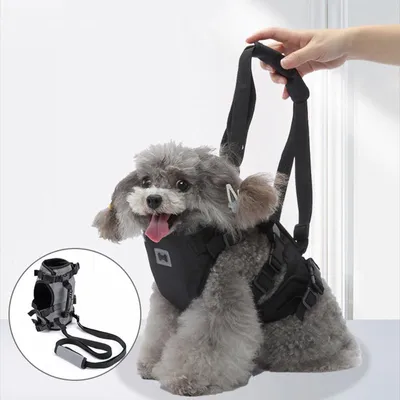 Immagine prodotto di Pettorine per cani ZELURXX, pettorina per animali domestici, ausilio per la deambulazione, con protezione per la vita, riflettore, grigio, taglia M