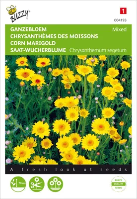 Produktbild von Saat Wucherblume Gelbe Mischung | Blumensamen von Buzzy Seeds
