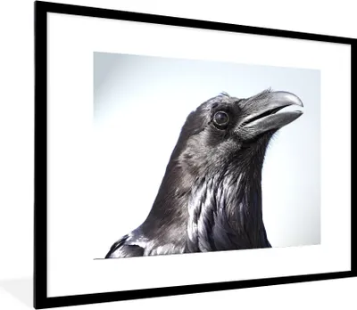 Produktbild von MuchoWow® Gerahmtes Poster Krähe - Federn - Vogel 80x60 cm - Poster mit Schwarzem Bilderrahmen Wandposter Rahmen Foto Bilder - Schlafzimmer-Dekorationen - Fotoposter