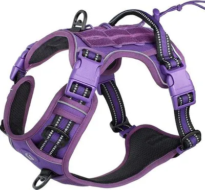 Image de Collier anti-traction tactique pour chiens de taille moyenne/grande - en métal - réglable - robuste