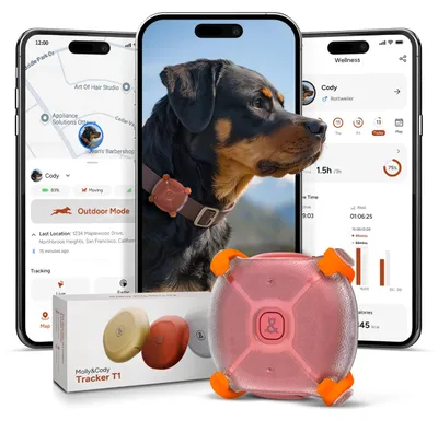 Haustier-Tracker für Katzen und Hunde, rot