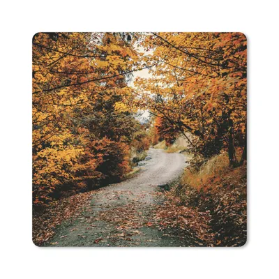 Produktbild von MuchoWow® Mauspad Mousepad Herbstwald - Weg - Laub - Ländlich 20x20 cm - Mousepads - Maus Mat - Pad - Mausunterlage - Desk Mat - Bureauartikeln