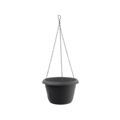 Obrázok produktu pre SIESTA samooplodňujúca závesná žaba d25x16cm