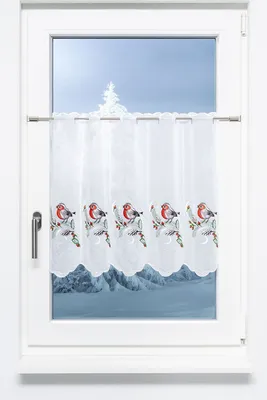 Produktbild von Scheibengardine Plauener Spitze - gefiederter Freund  (Bx H) 64cm * 55cm rot/Rot