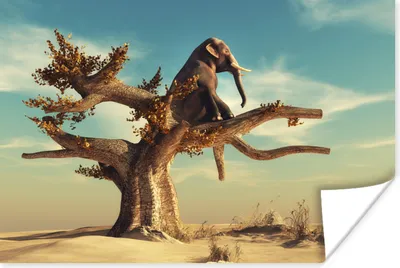 Produktbild von MuchoWow® Poster Elefant - Baum - Natur - Wüste 90x60 cm - Schlafzimmer
