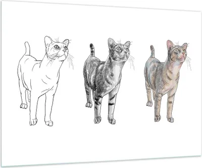 Produktbild von Bilder auf glas - Katzen Tiere Kinder Illustration - 100x70cm - Glasbilder - Wandbilder - Kunstdruck - zum Aufhängen bereit - Wanddekoration aus Glas - Glas Bilder - Wandbild auf Glas - GAA100x70-3211