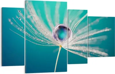 Produktbild von Bild auf Leinwand - Leinwandbild - Pflanze Natur - 120x70cm - Wand Bild - Wanddeko - Wandbilder - Leinwanddruck - Bilder - Kunstdruck - Wanddekoration - Leinwand bilder - Wandkunst - DL120x70-3991