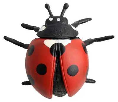Image de Enfants - Figurine en plastique représentant un insecte - Jouet éducatif (#5)
