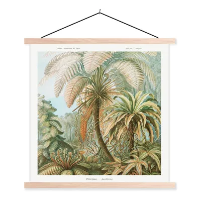 Produktbild von MuchoWow® Textilposter Vintage - Alte Meister - Farne - Pflanzen - Natur 60x60 cm mit holzfarbenen Rahmen - Wanddekoration