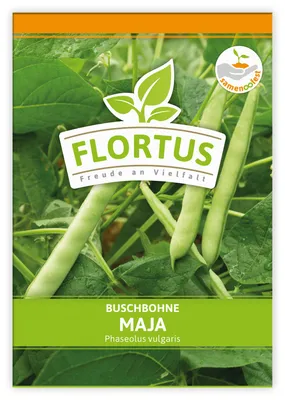 Produktbild von Buschbohne Maja | Buschbohnensamen von FLORTUS