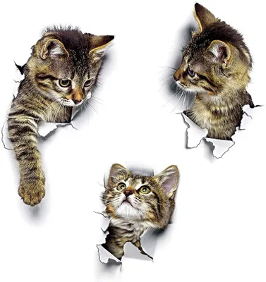Produktbild von 3D Katzen Wandtattoo Kombination WC-Aufkleber Wandsticker Wandaufkleber Wasserdichte Kühlschrankaufkleber Türaufkleber Küche Wand Dekor