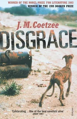 Produktbild von Disgrace