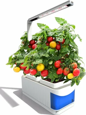 Zdjęcie produktu dla Sadzarka BOT Smart z diodą LED BLUE