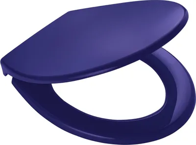 Produktbild von Ridder WC-Sitz Miami mit Soft-Close  blau 02101133