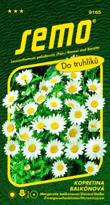 Obrázok produktu pre Semo Daisy - Snehobiela 0,3g