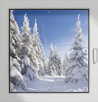 Produktbild von Wallario Lichtschutzbild, Dekorativer Sichtschutz Sonnenschutz 96 x 100 cm mit Motiv: Wanderweg im Schnee - Verdunklung ohne Bohren