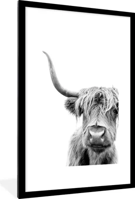 Produktbild von MuchoWow® Gerahmtes Poster Schottischer Highlander - Tiere - Schwarz - Weiß 60x90 cm - Poster mit Schwarzem Bilderrahmen Wandposter Rahmen Foto Bilder - Dekoration - Wandposter Wohnzimmer - Hochwertig