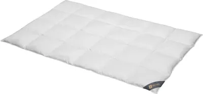 Produktbild von Daunendecke 135x200 cm 90 % Daunen  Warme  Bettdecke Steppdecke Daunen SPESSARTTRAUM BRONZE