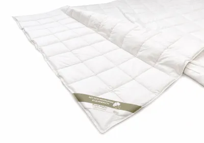 Produktbild von Premium Sommer Daunenbett 14x14, 200x200 Daunendecke 100% Daunen superleicht