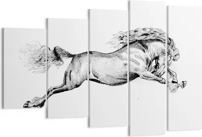 Produktbild von Bild auf Leinwand - Leinwandbild - 5 Teile - Pferd Zeichnung Bleistift - 150x100cm - Wand Bild - Wanddeko - Wandbilder - Leinwanddruck - Bilder - Wanddekoration - Leinwand bilder - EG150x100-4906
