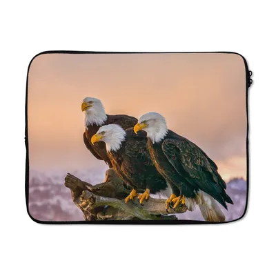 Produktbild von MuchoWow® Laptop Hülle 17 Zoll Laptoptasche Vögel - Natur - Raubvögel - Adler - Zipper - Schutzabdeckung