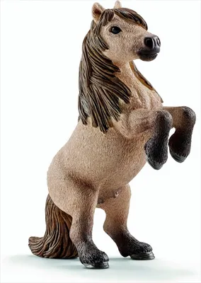 Obrázek produktu pro Schleich 13775 Mini hřebec Shetty